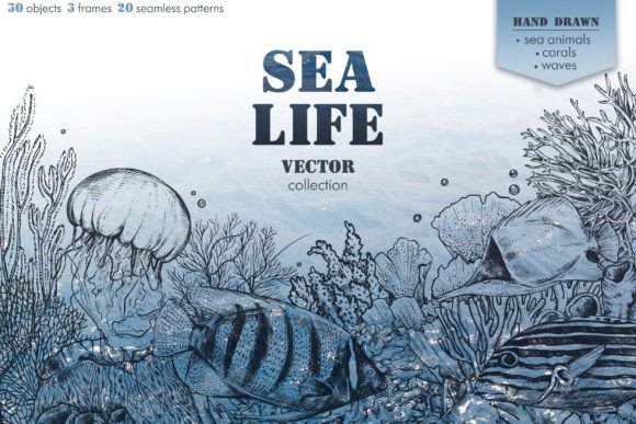 Download Sea Life - Premium Resources