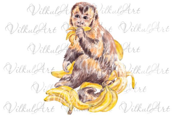 Download Cute Animal Png Monkey Watercolor - Anima Collection