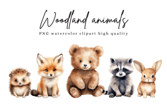 Download Animals Cute Woodland Watercolor Clipart - Anima Collection
